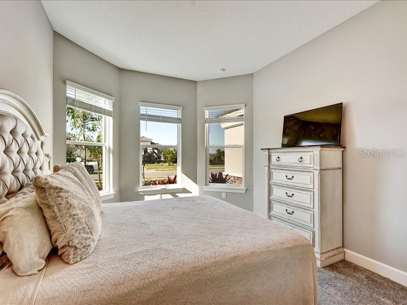 14958 Contenta Loop Bradenton FL 34211 A4688010 image33