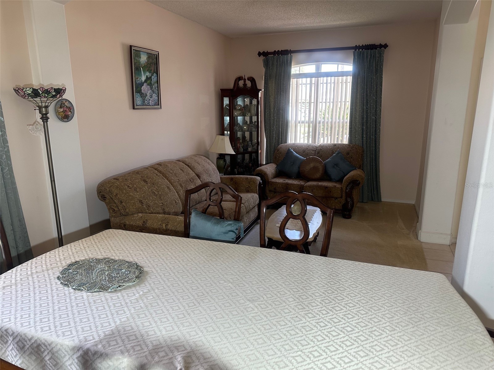 14958 Lake Azure Drive Orlando FL 32824 O6406888 image10