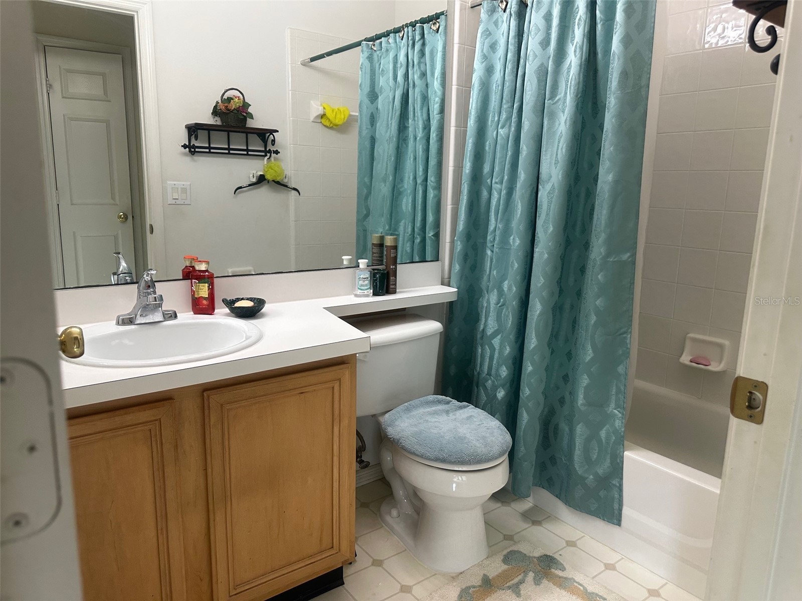 14958 Lake Azure Drive Orlando FL 32824 O6406888 image17