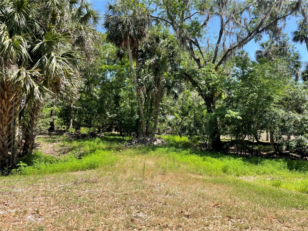 1496 Kettledrum Trail Deltona FL 32725 - LAKE MONROE - ST. JOHNS RIVER O6337347 image2