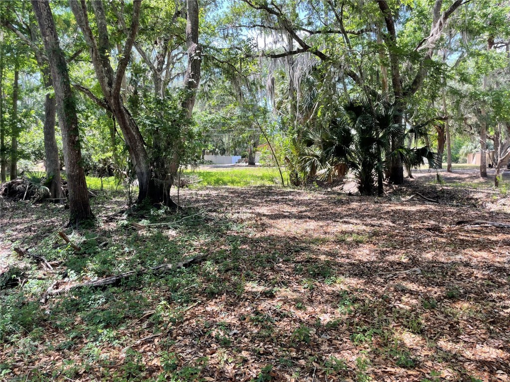 1496 Kettledrum Trail Deltona FL 32725 - LAKE MONROE - ST. JOHNS RIVER O6337347 image3