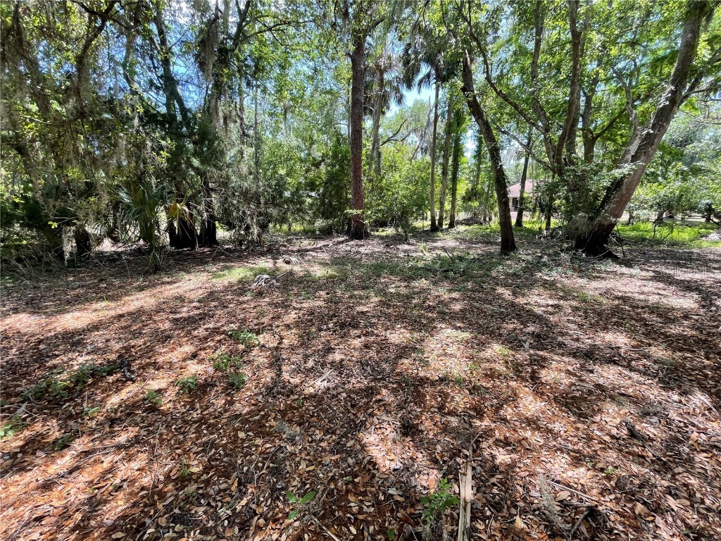 1496 Kettledrum Trail Deltona FL 32725 - LAKE MONROE - ST. JOHNS RIVER O6337347 image4