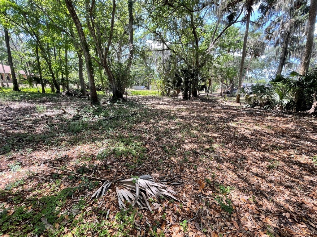 1496 Kettledrum Trail Deltona FL 32725 - LAKE MONROE - ST. JOHNS RIVER O6337347 image5