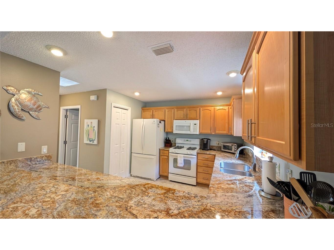 1496 Lime Grove Lane The Villages FL 32162 G5098536 image10