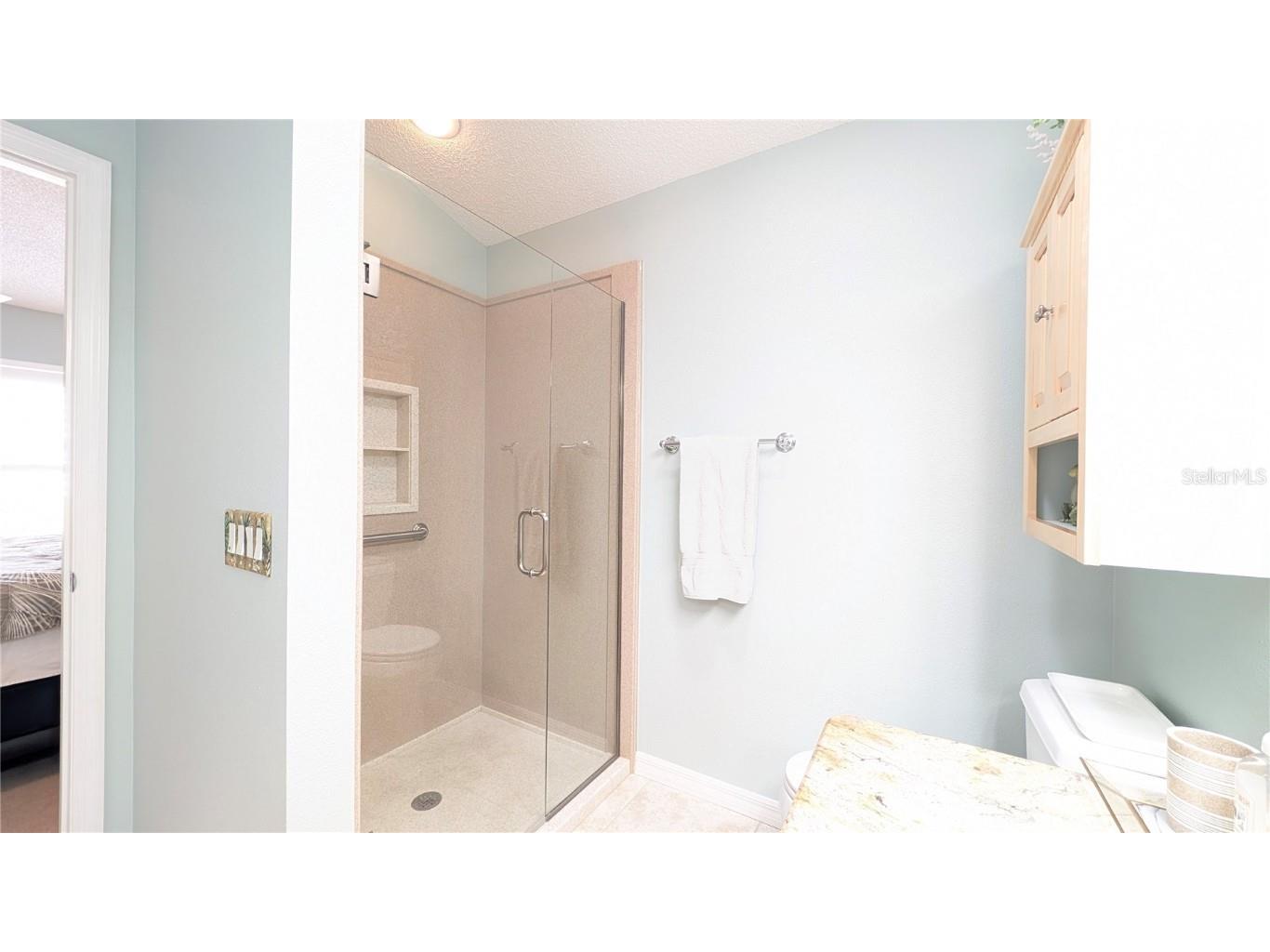 1496 Lime Grove Lane The Villages FL 32162 G5098536 image32