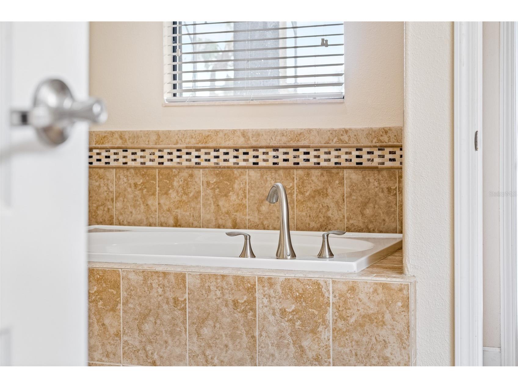 1496 Moon Valley Drive Davenport FL 33896 O6398314 image49