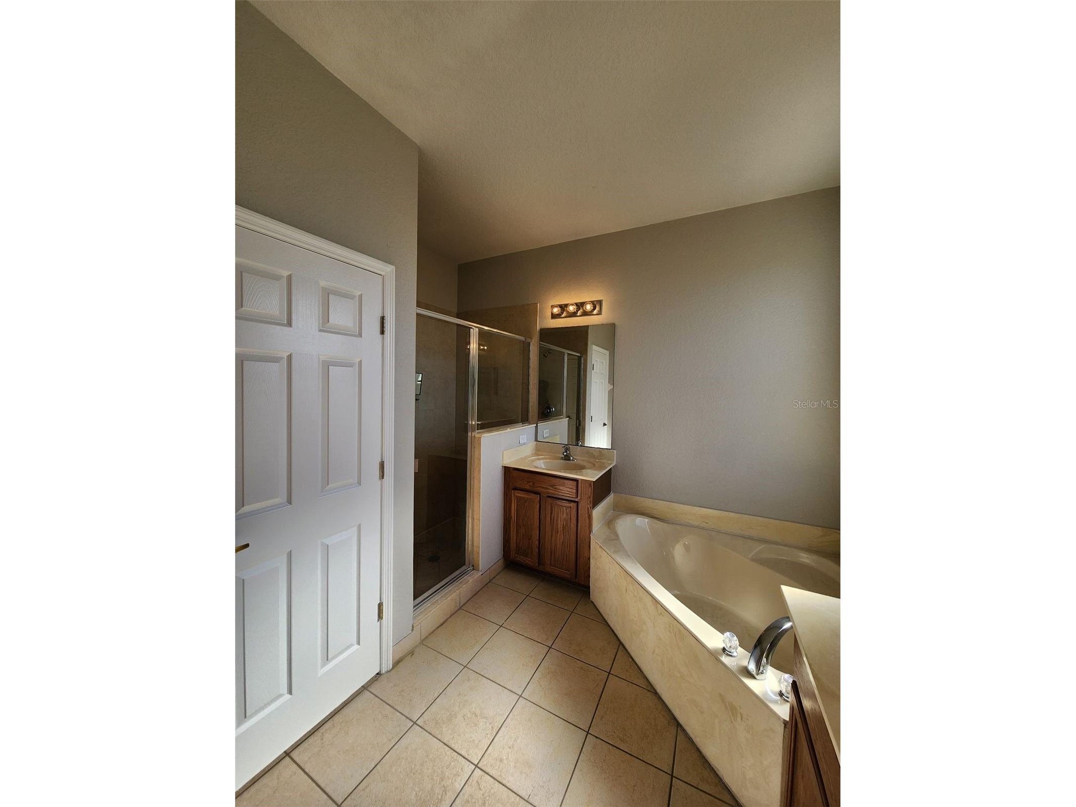 1496 Portofino Meadows Boulevard Orlando FL 32824 S5153156 image27