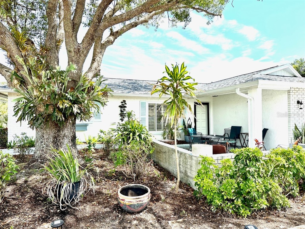 1496 Queen Anne Drive Palm Harbor FL 34684 U8197931 image1