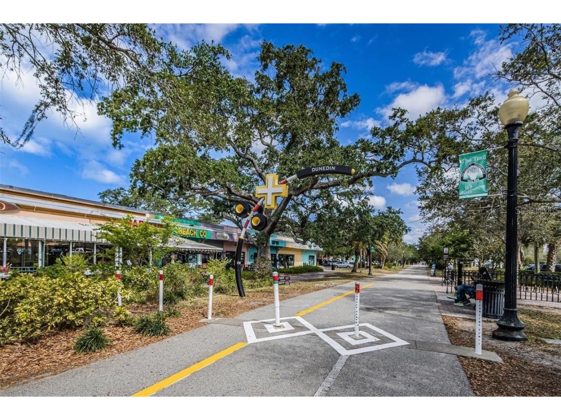 1496 Seaspray Lane Dunedin FL 34698 TB8453511 image40