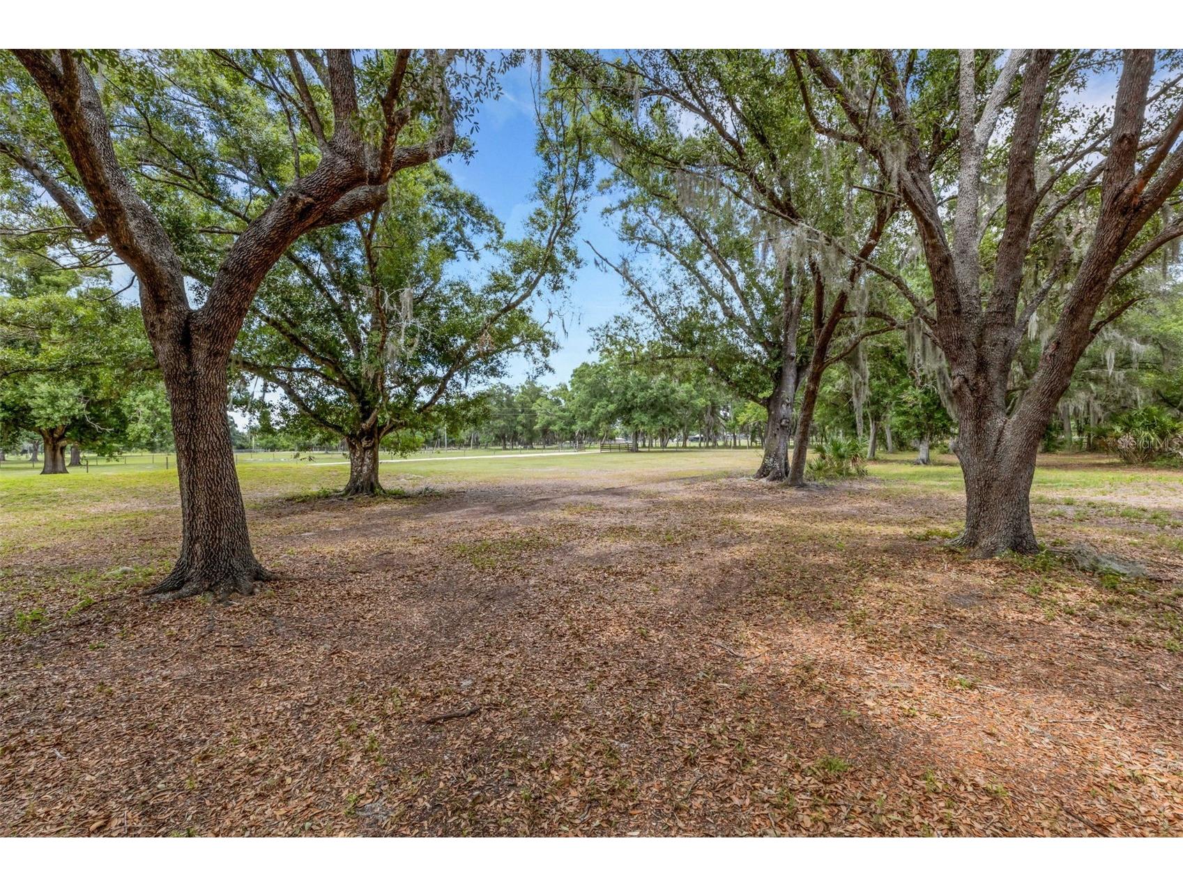 14960 Gibson Road Myakka City FL 34251 A4696212 image53