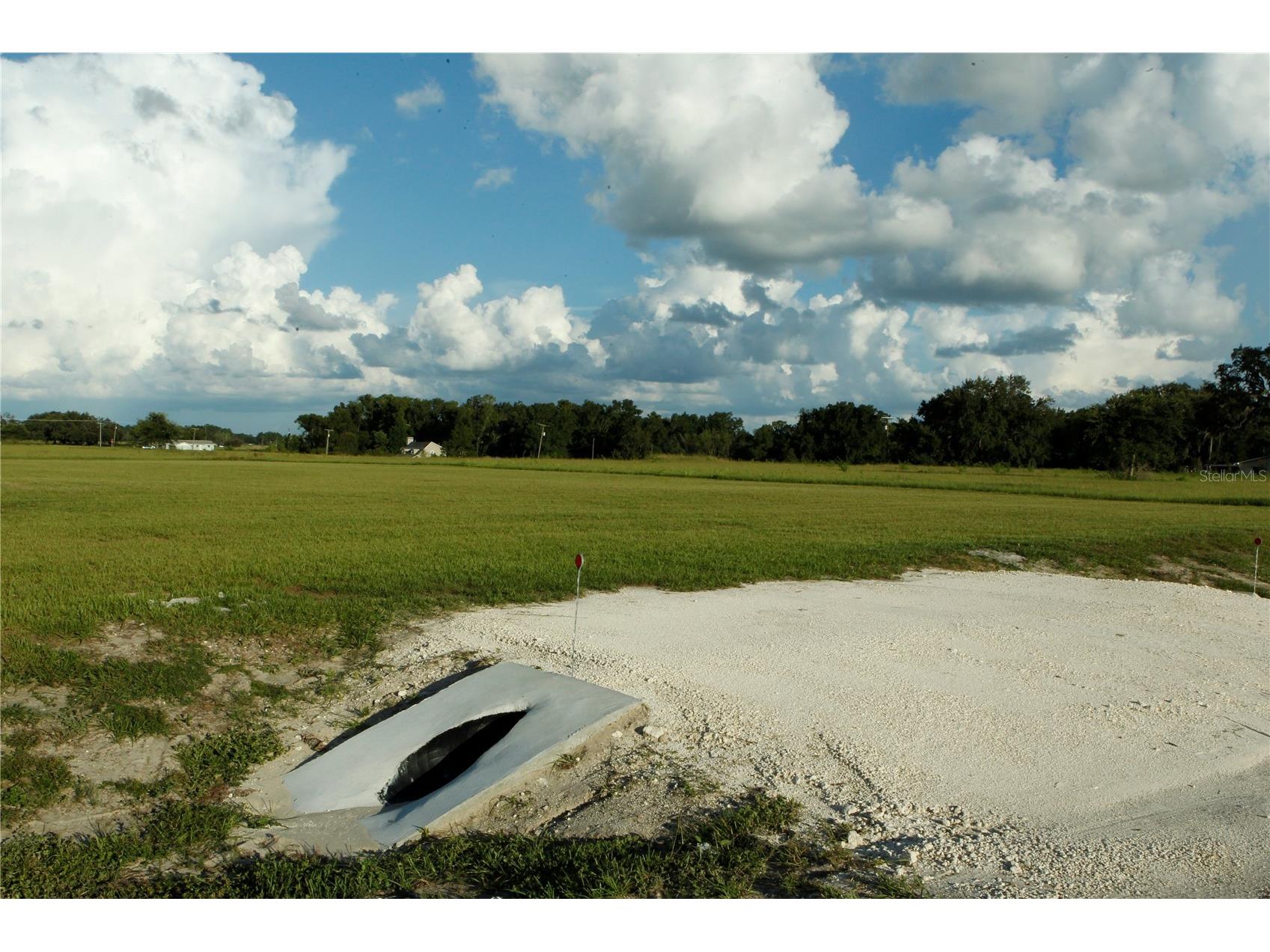 14964 Crimson Oaks Tr Dade City FL 33525 TB8420728 image10