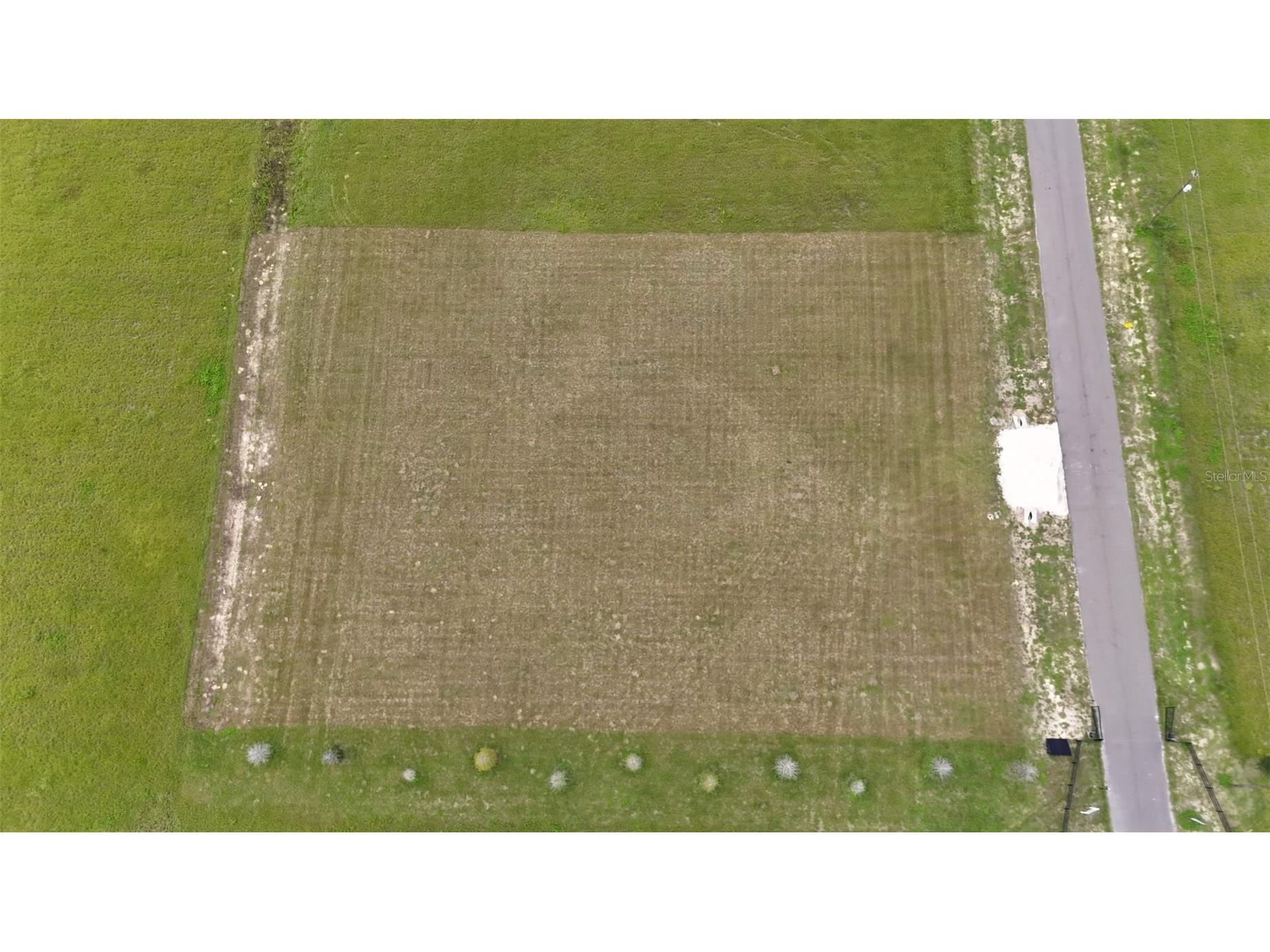 14964 Crimson Oaks Tr Dade City FL 33525 TB8420728 image5