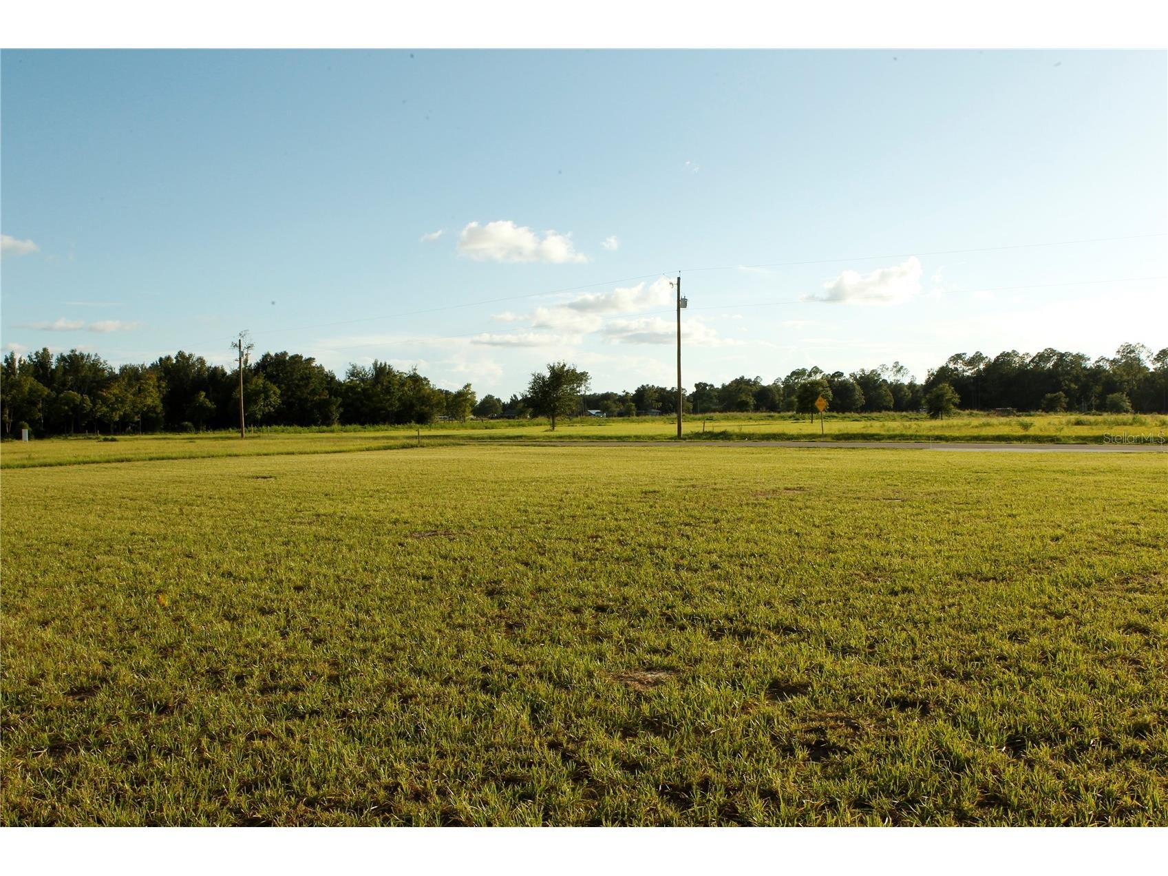 14964 Crimson Oaks Tr Dade City FL 33525 TB8420728 image7