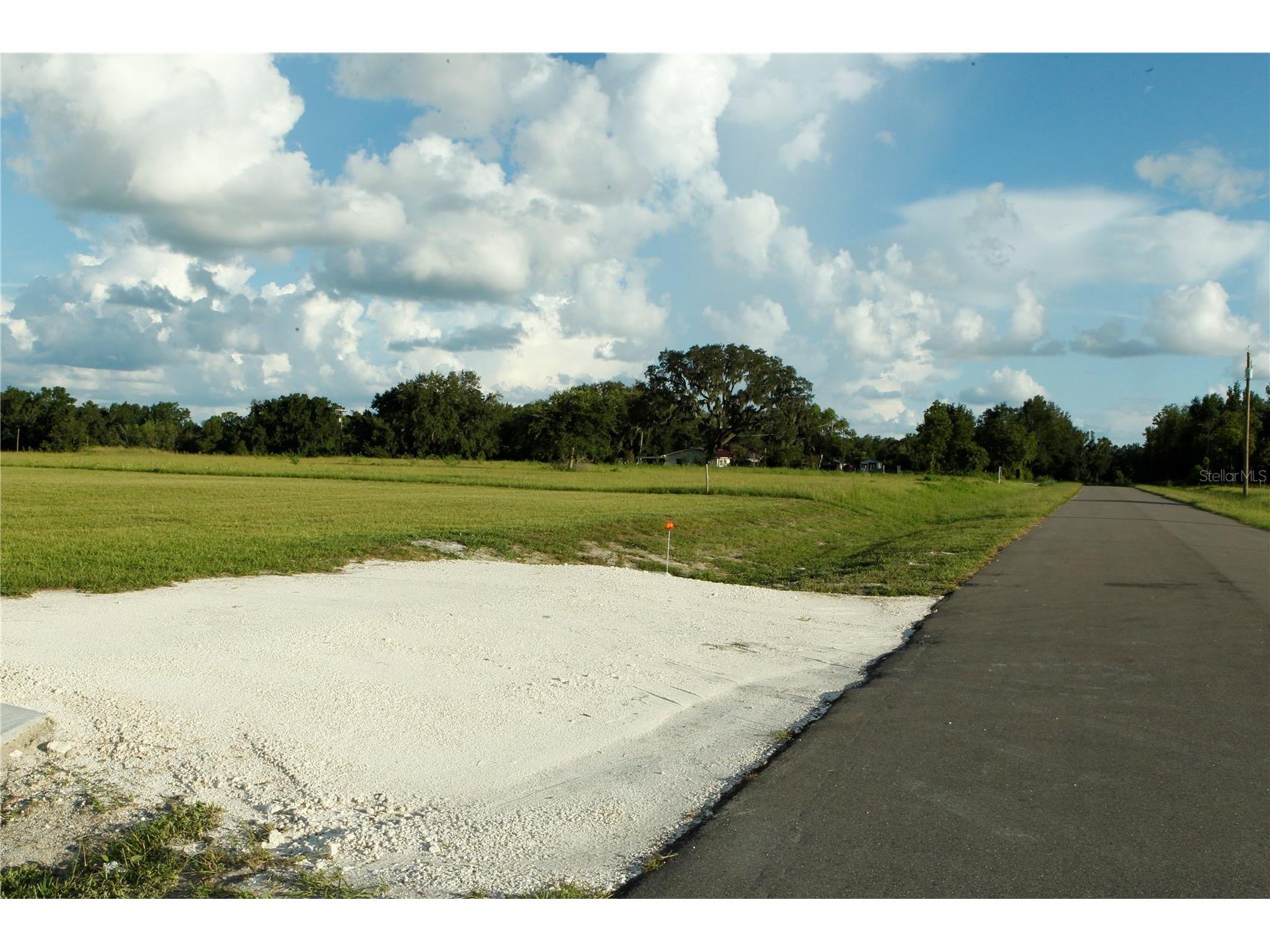 14964 Crimson Oaks Tr Dade City FL 33525 TB8420728 image9