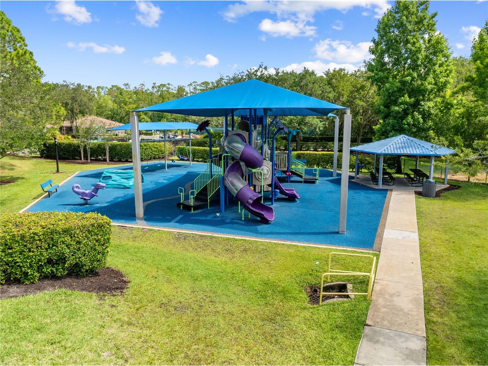 14967 Hawksmoor Run Circle Orlando FL 32828 O6417420 image10
