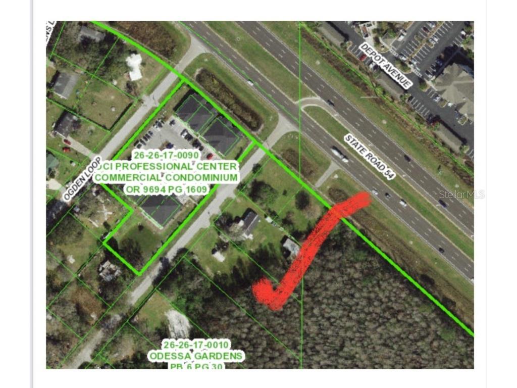 14969 Ogden Loop Odessa FL 33556 TB8408110 image4