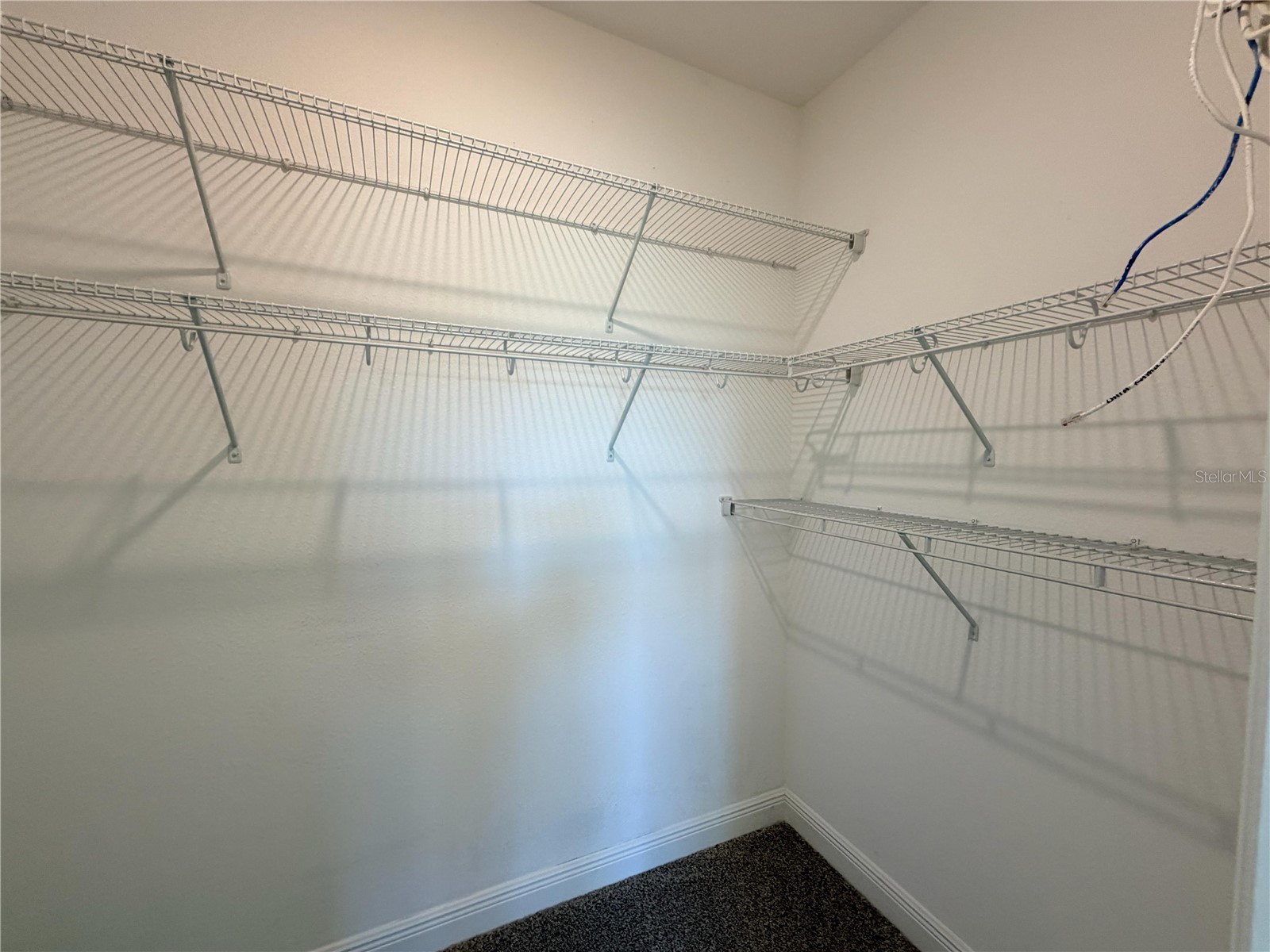 14971 Apollo Bond Drive Winter Garden FL 34787 O6399621 image31