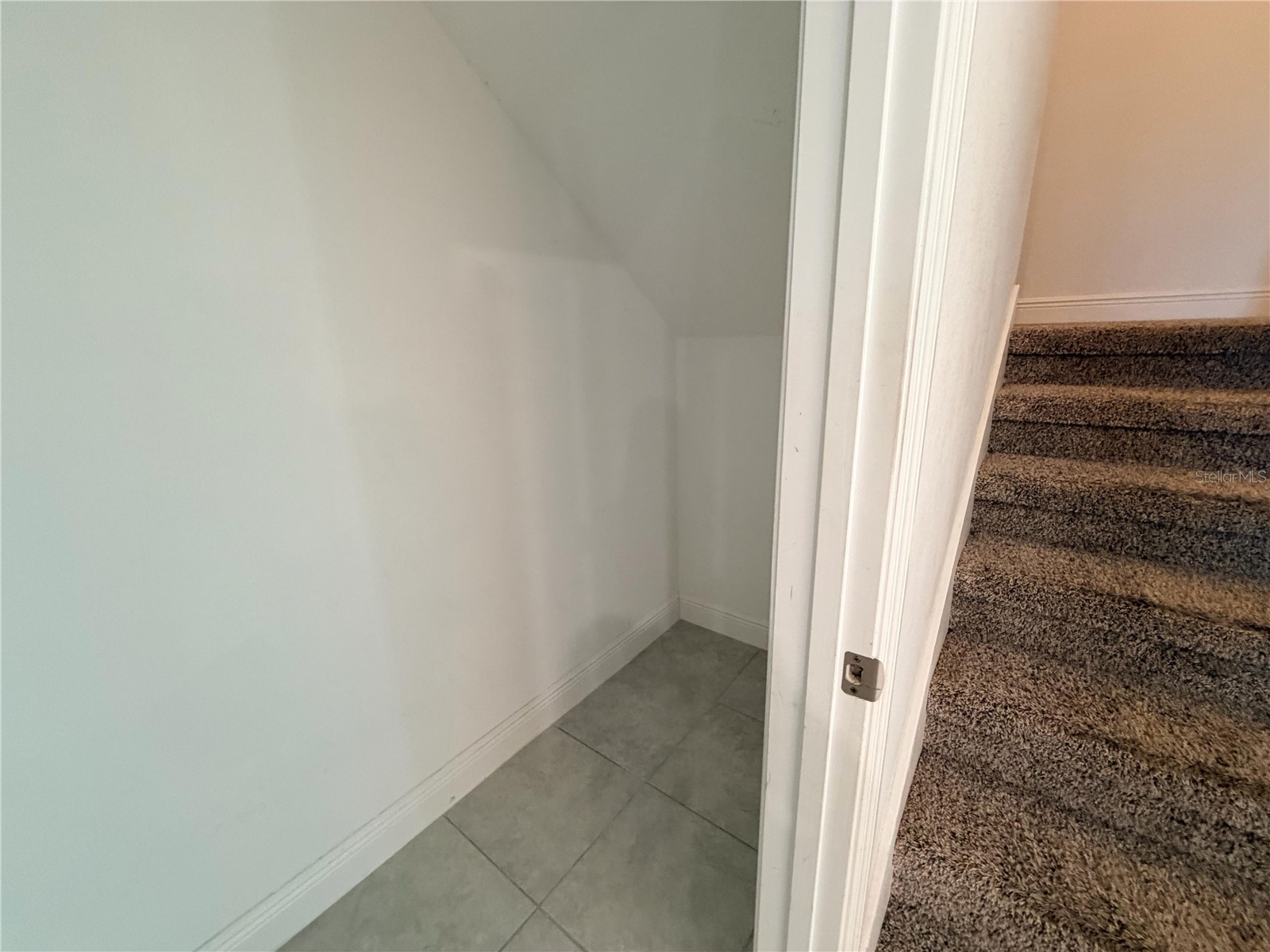 14971 Apollo Bond Drive Winter Garden FL 34787 O6399621 image45