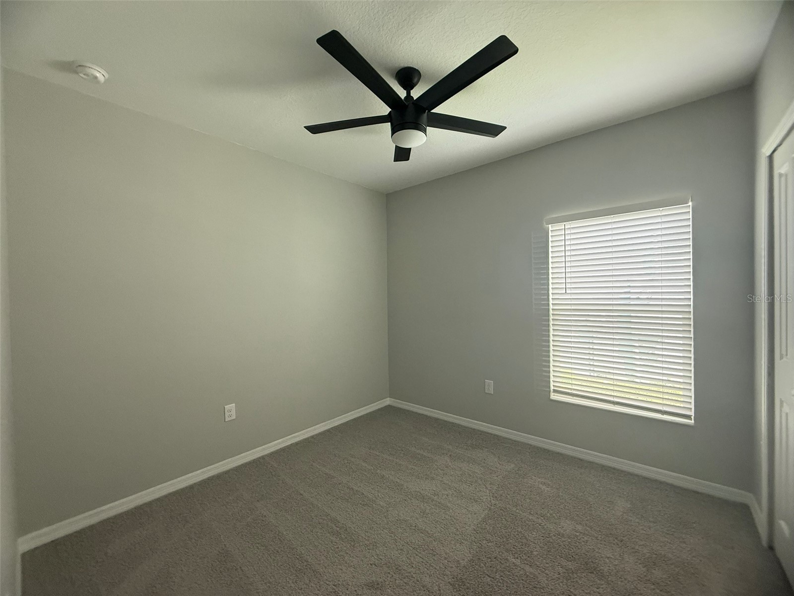 1498 Austin Street Winter Haven FL 33884 P4938243 image5