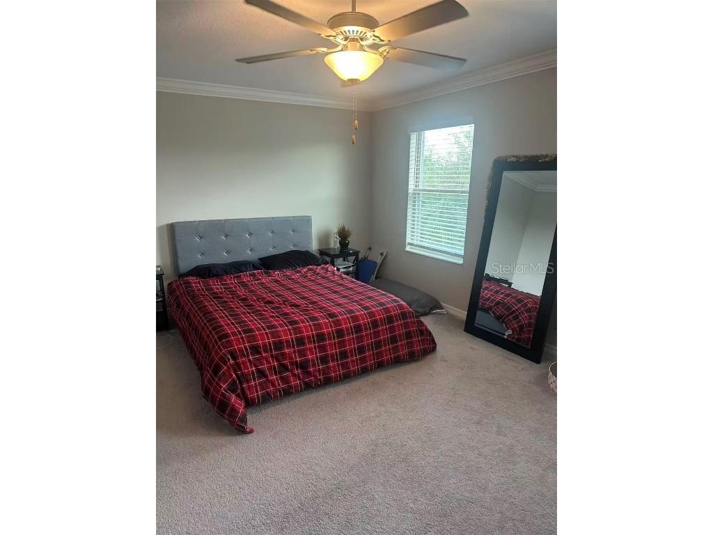 1498 Cassius Street Lutz FL 33549 TB8452621 image16