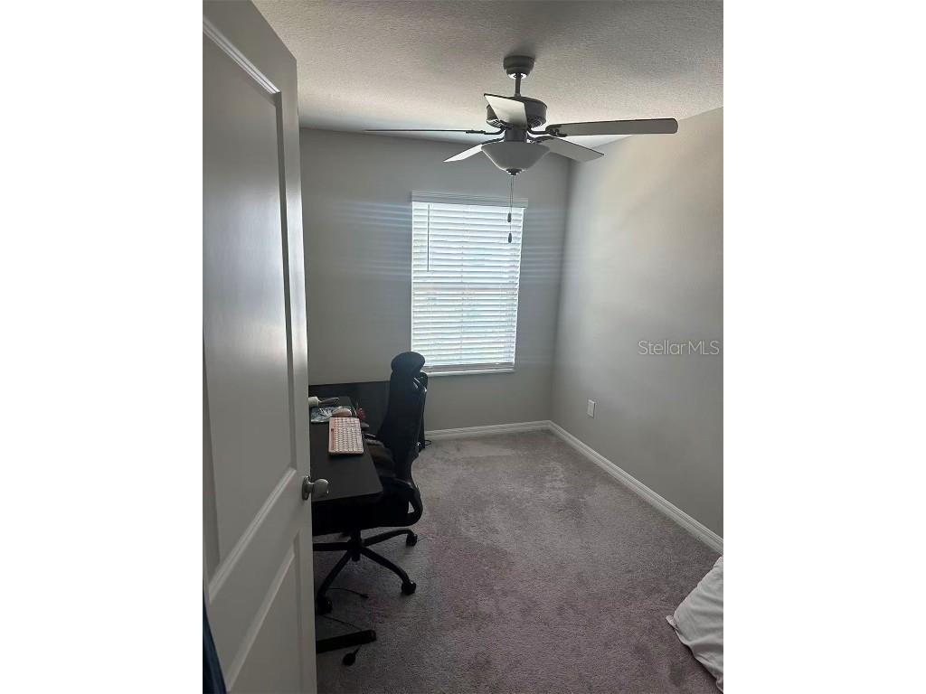 1498 Cassius Street Lutz FL 33549 TB8452621 image17