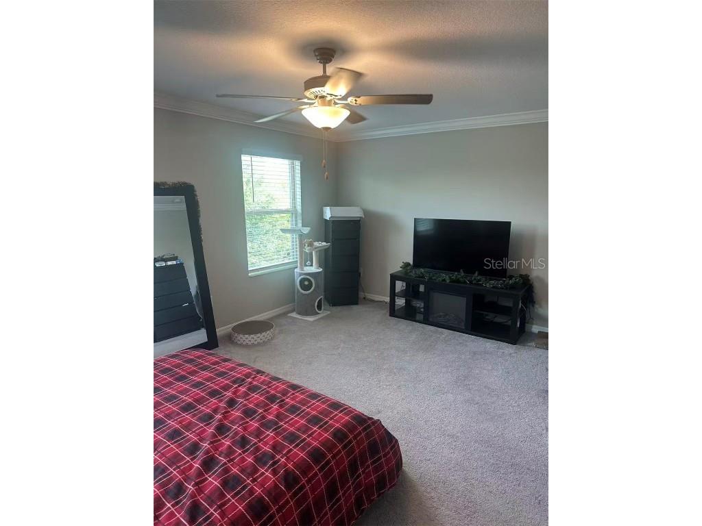 1498 Cassius Street Lutz FL 33549 TB8452621 image8