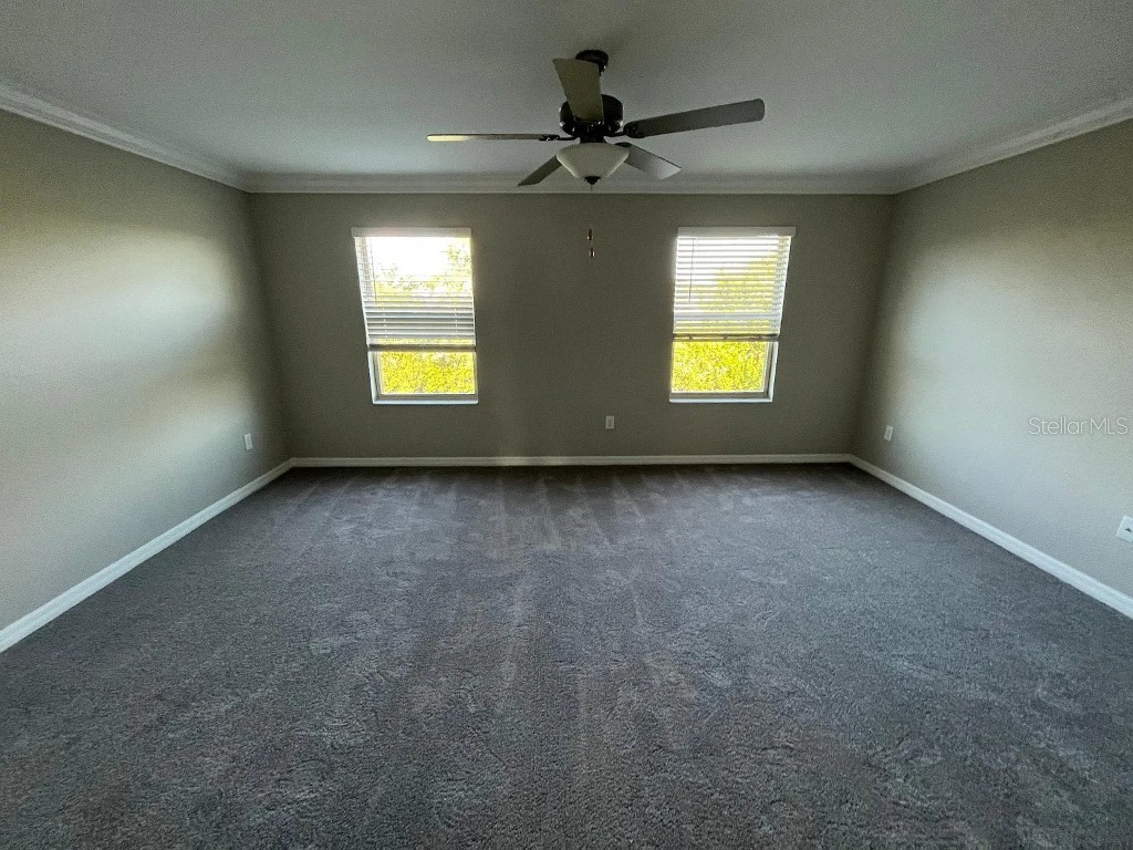 1498 Cassius Street Lutz FL 33549 TB8452621 image9