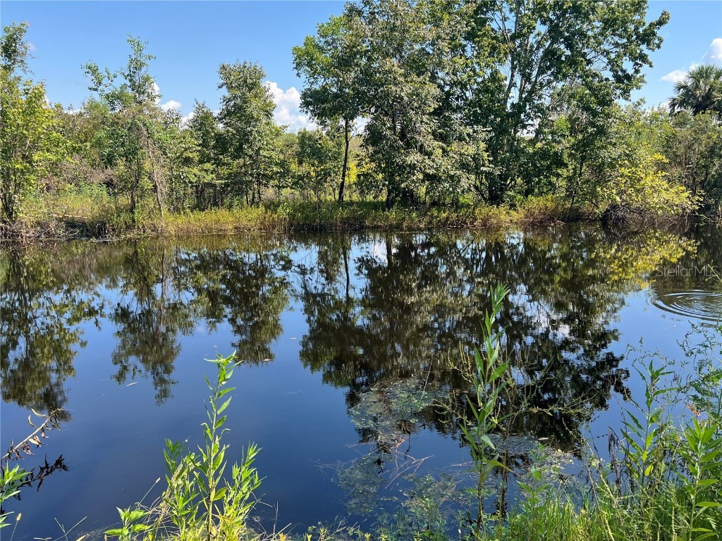 1498 Stone Trail Enterprise FL 32725 - LAKE MONROE ST JOHNS RIVER O6340269 image5
