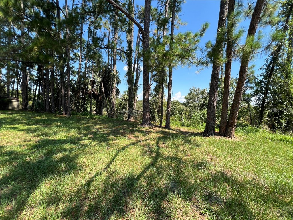 1498 Stone Trail Enterprise FL 32725 - LAKE MONROE ST JOHNS RIVER O6340269 image6