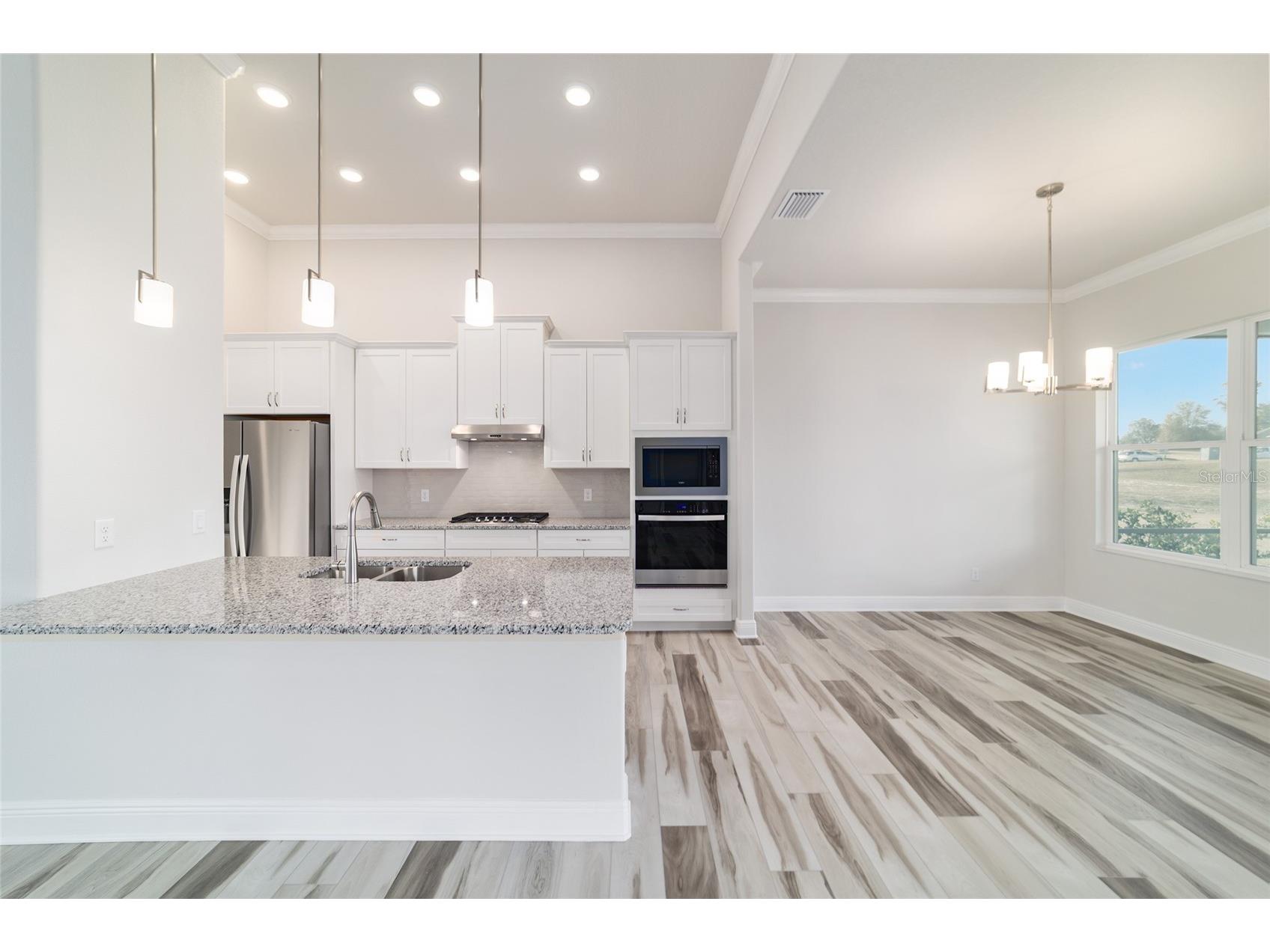 1499 E Pegasus Lane Inverness FL 34453 OM718755 image10