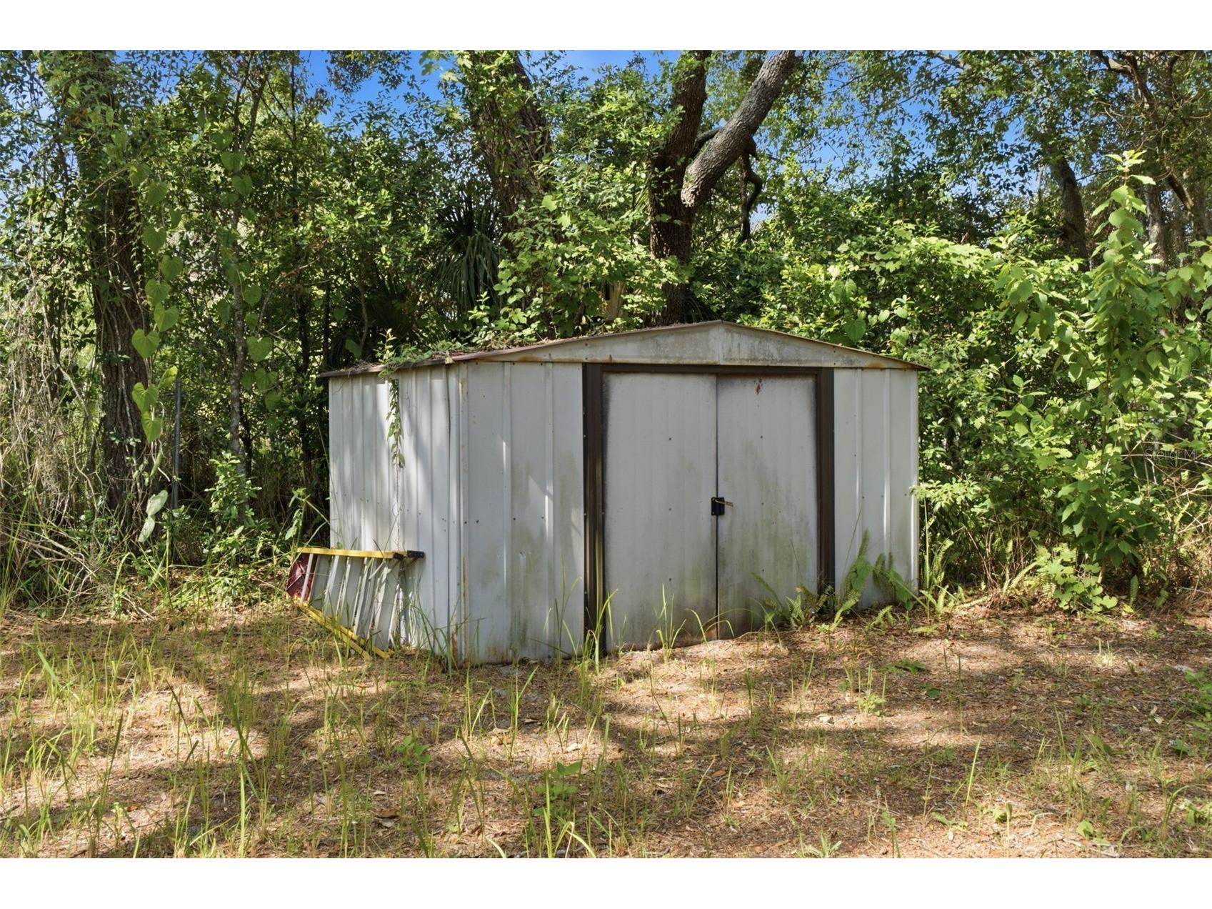 1499 Larkin Road Spring Hill FL 34608 W7886871 image19