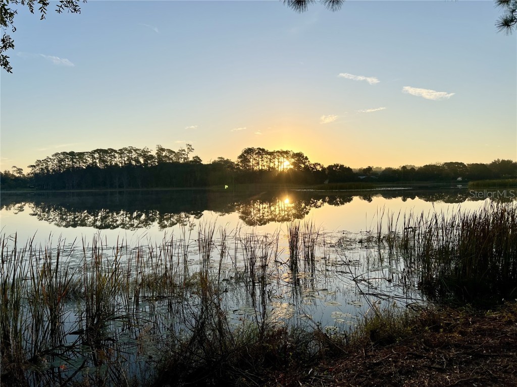 1499 Murphy Road Pierson FL 32180 V4946000 image3