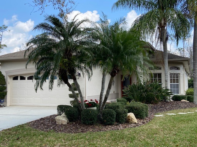 1499 Riverdale Drive Oldsmar FL 34677 U8191227 image1