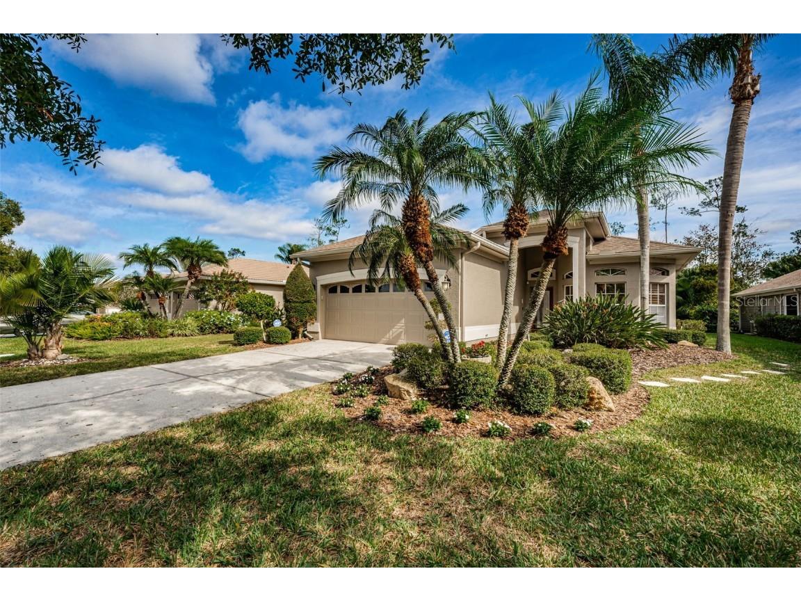 1499 Riverdale Drive Oldsmar FL 34677 U8222756 image1