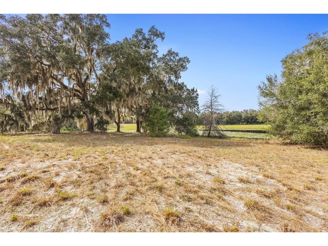 1499 Shady Meadow Lane Deland FL 32724 V4945630 image14