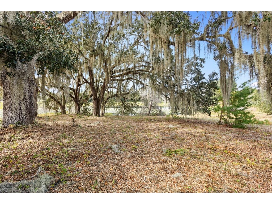 1499 Shady Meadow Lane Deland FL 32724 V4945630 image8