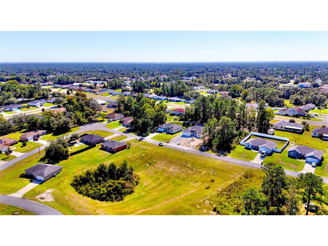 14993 SW 46th Circle Ocala FL 34473 O6363545 image4