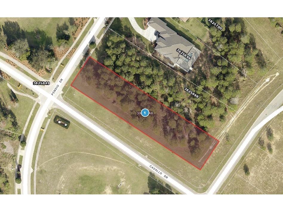 14996 Pendio Drive Montverde FL 34756 - LAKE SIENA J997232 image1