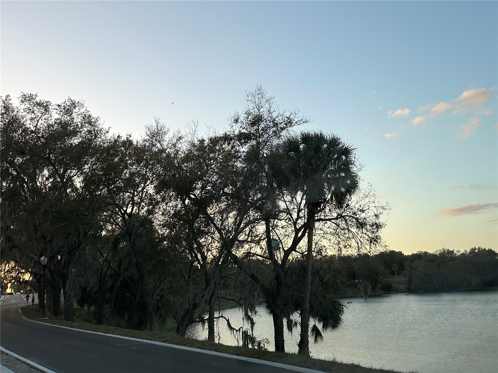 15 1/2 4th Street N Lake Wales FL 33853 TB8526993 image26