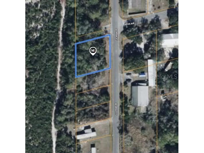 15-17-28-0200-009-00100 Georgia Street Paisley FL 32767 A4688192 image1