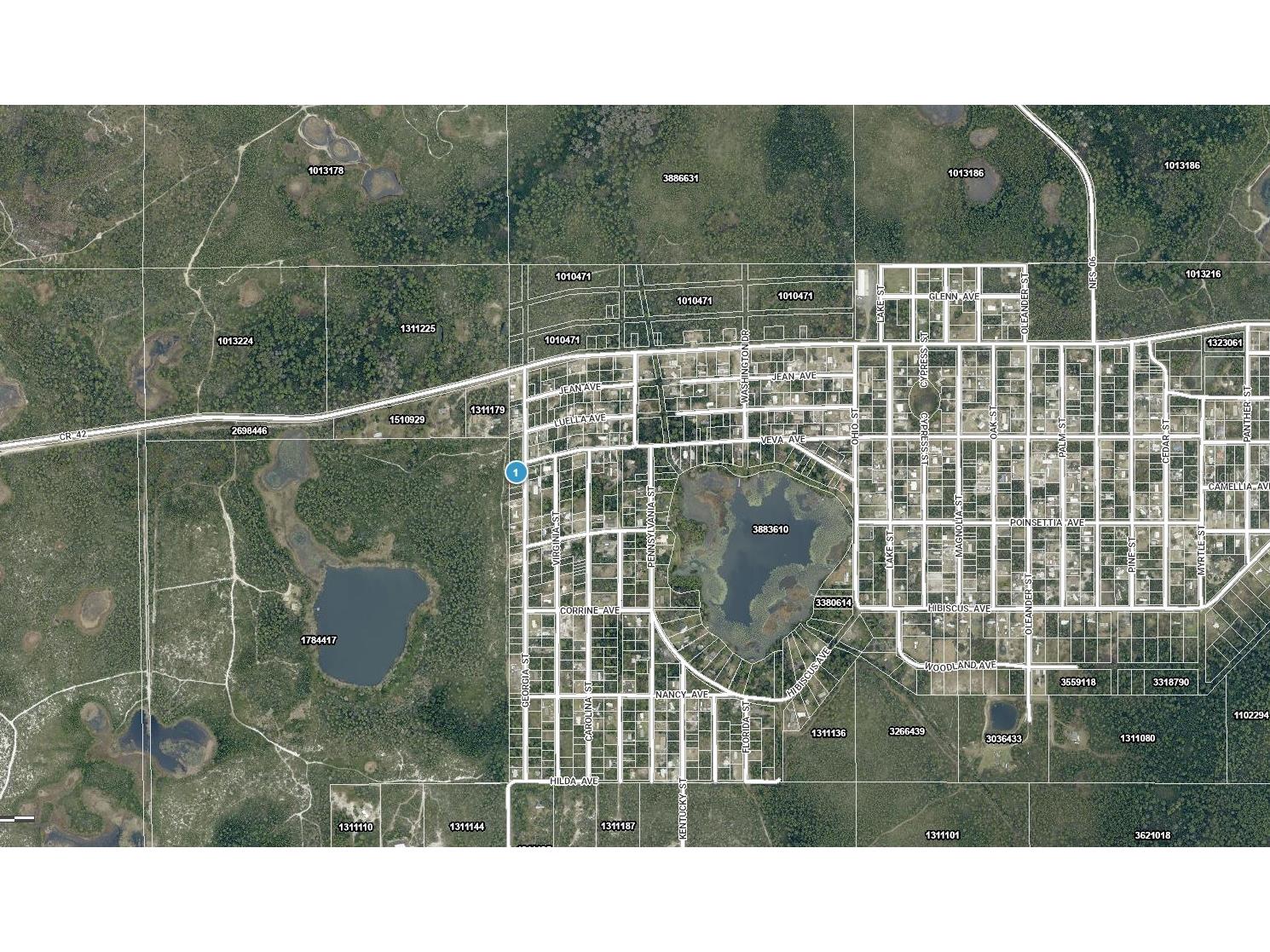 15-17-28-0200-009-00100 Georgia Street Paisley FL 32767 A4688192 image6