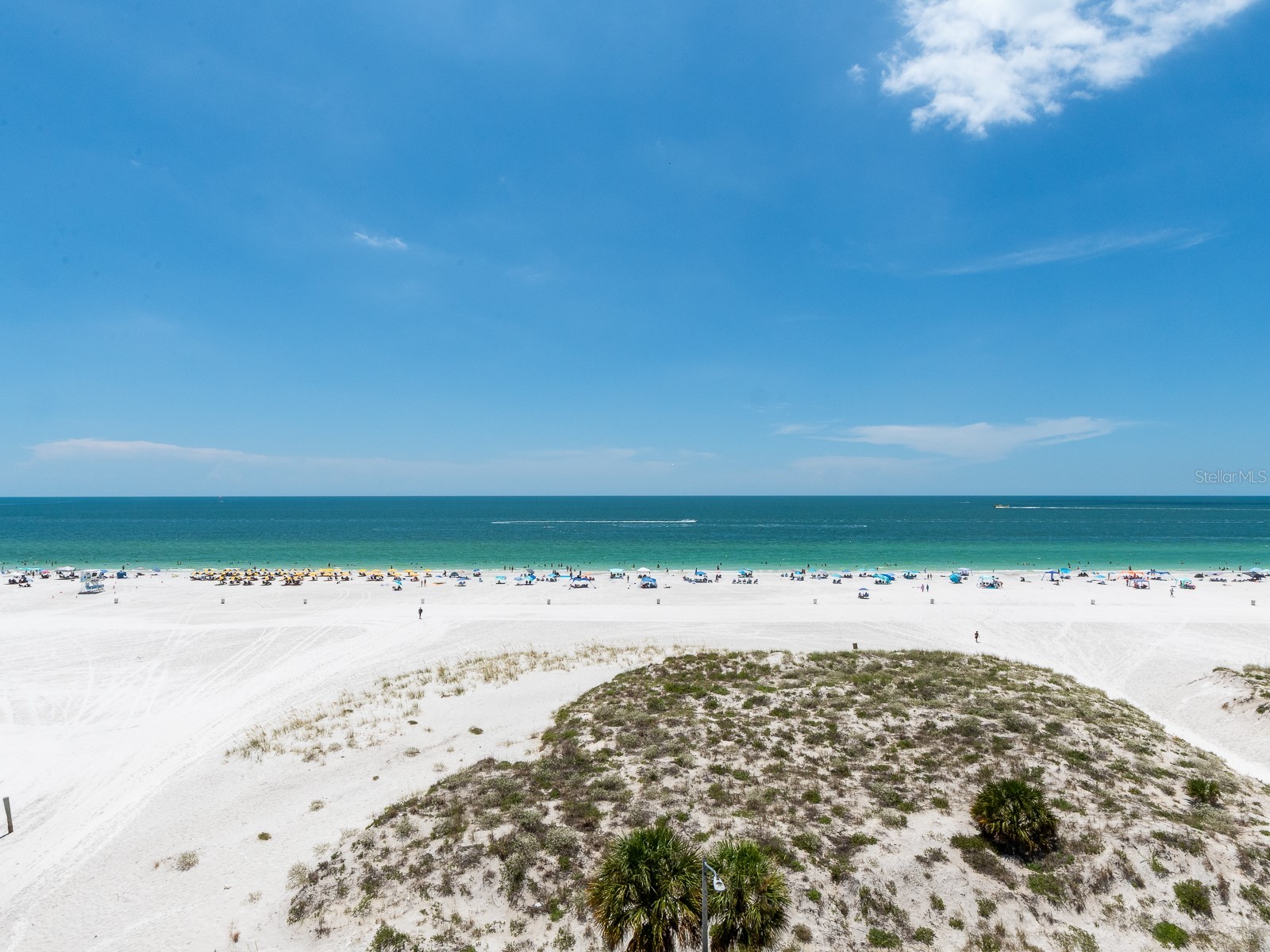 15 Avalon Street #701 Clearwater Beach FL 33767 TB8525338 image11