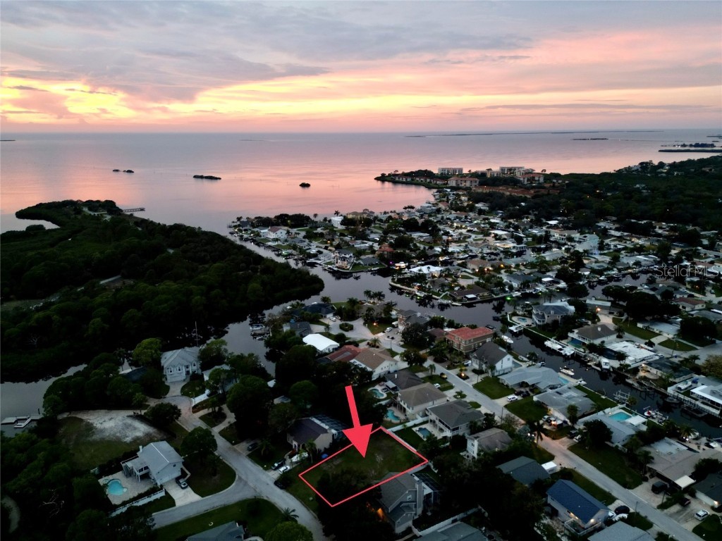 15 Baywood Drive Palm Harbor FL 34683 U8182152 image1