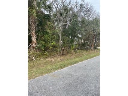 15 Cedardale Court Palm Coast FL 32137 - CEDARDALE FC289065 image2
