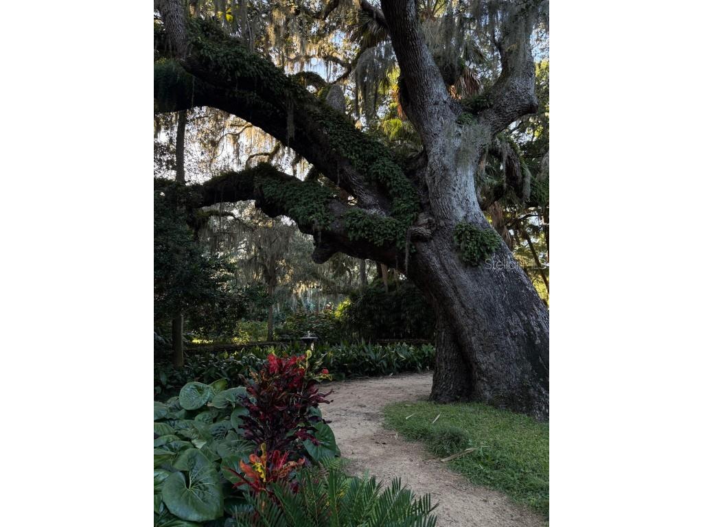 15 Debra Drive Palm Coast FL 32137 FC312897 image39