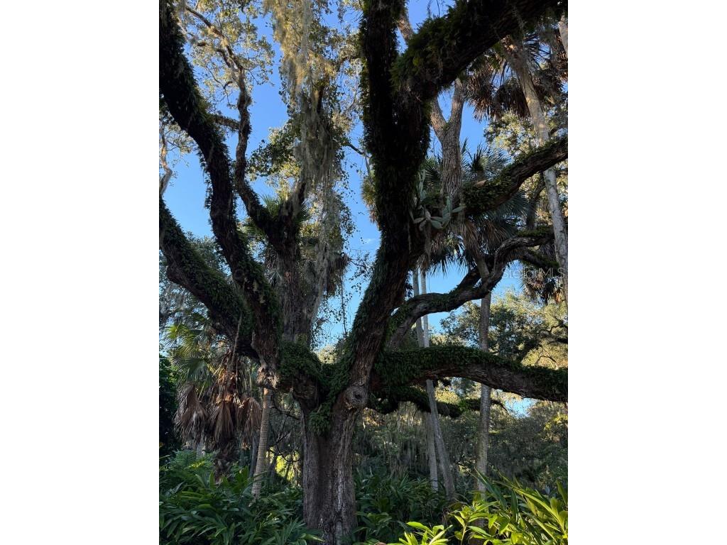 15 Debra Drive Palm Coast FL 32137 FC312897 image42