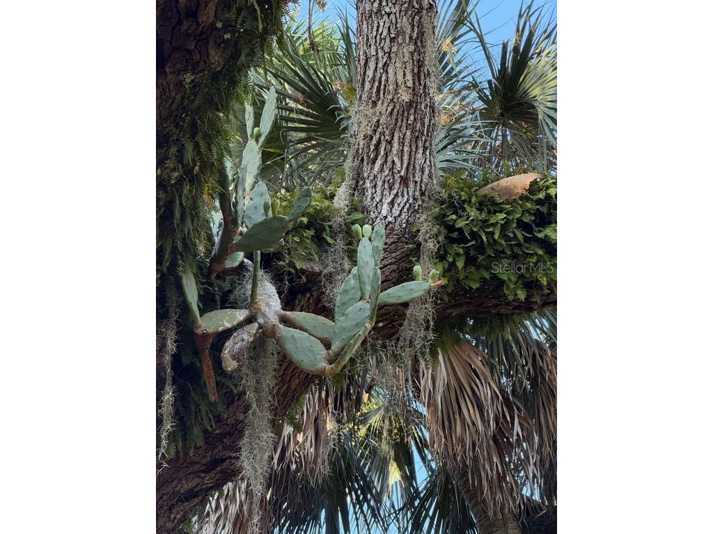 15 Debra Drive Palm Coast FL 32137 FC312897 image43