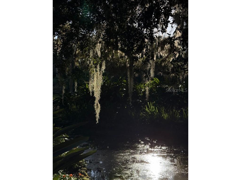 15 Debra Drive Palm Coast FL 32137 FC312897 image46