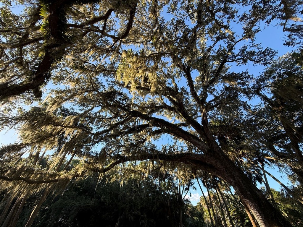 15 Debra Drive Palm Coast FL 32137 FC312897 image47