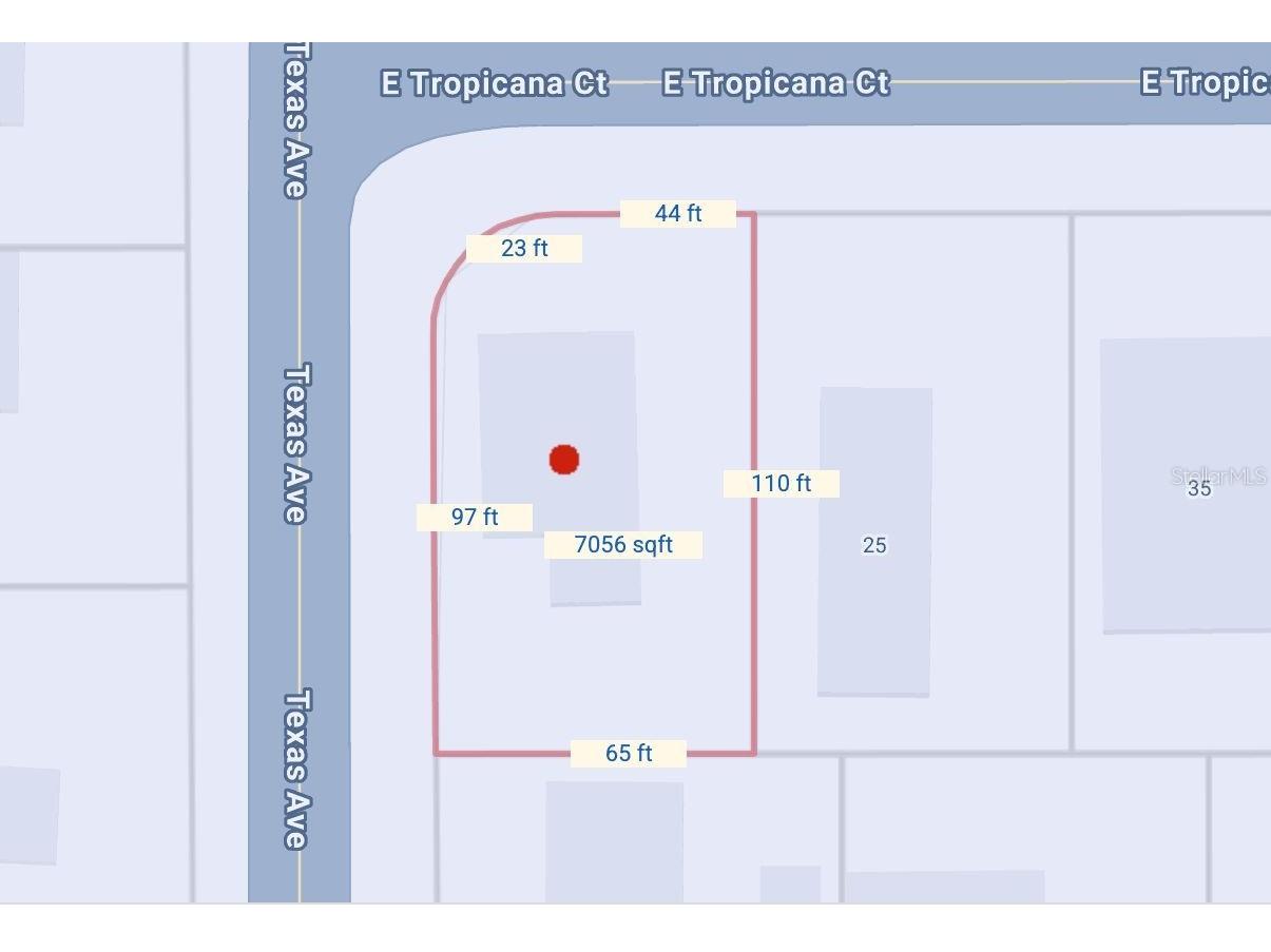 15 E Tropicana Court Kissimmee FL 34741 O6390171 image1